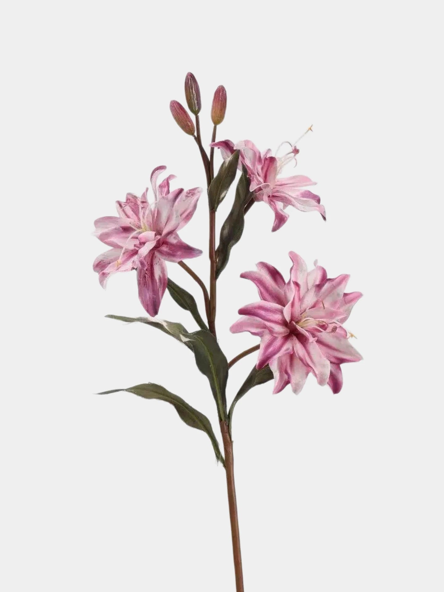 Faux Double Lily Flower Stem – 58 cm