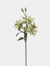 Faux Double Lily Flower Stem – 58 cm
