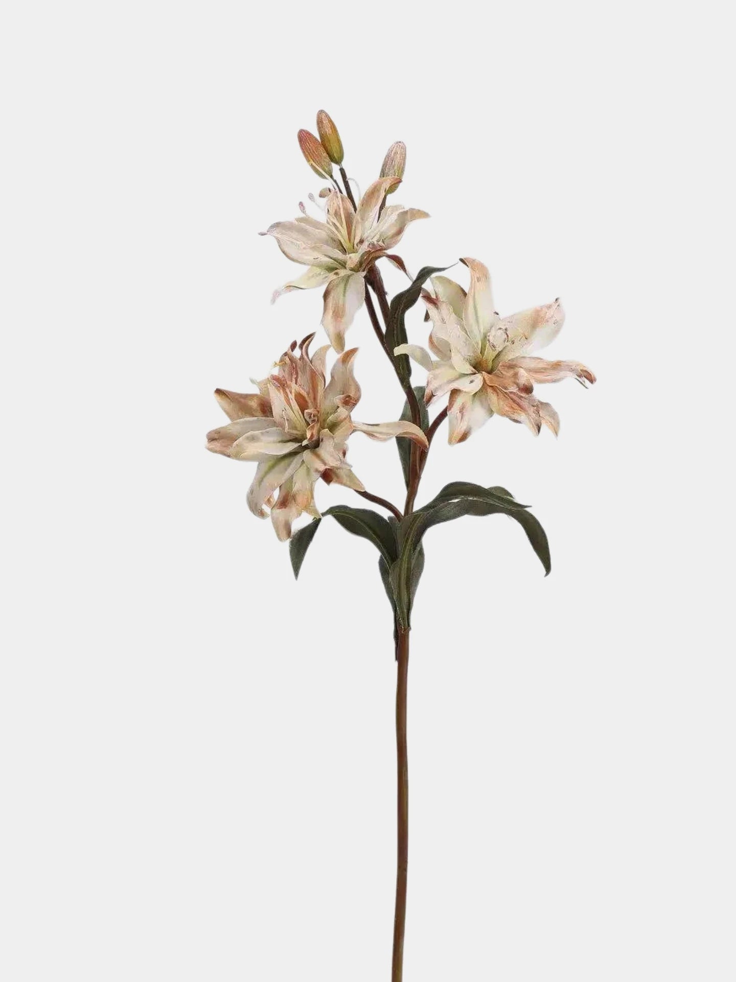 Faux Double Lily Flower Stem – 58 cm