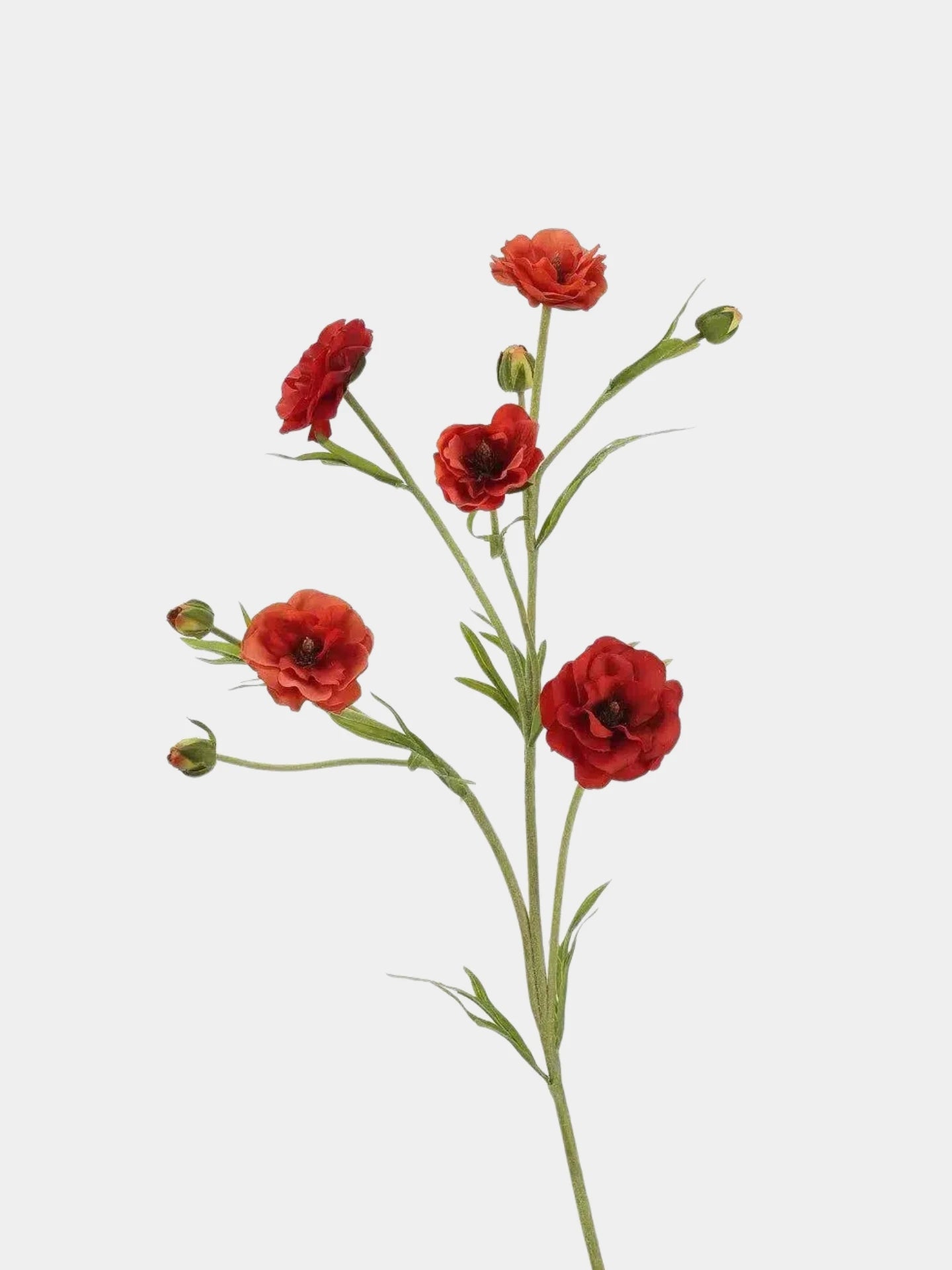 Real Touch Ranunculus Flower Stem – 70 cm