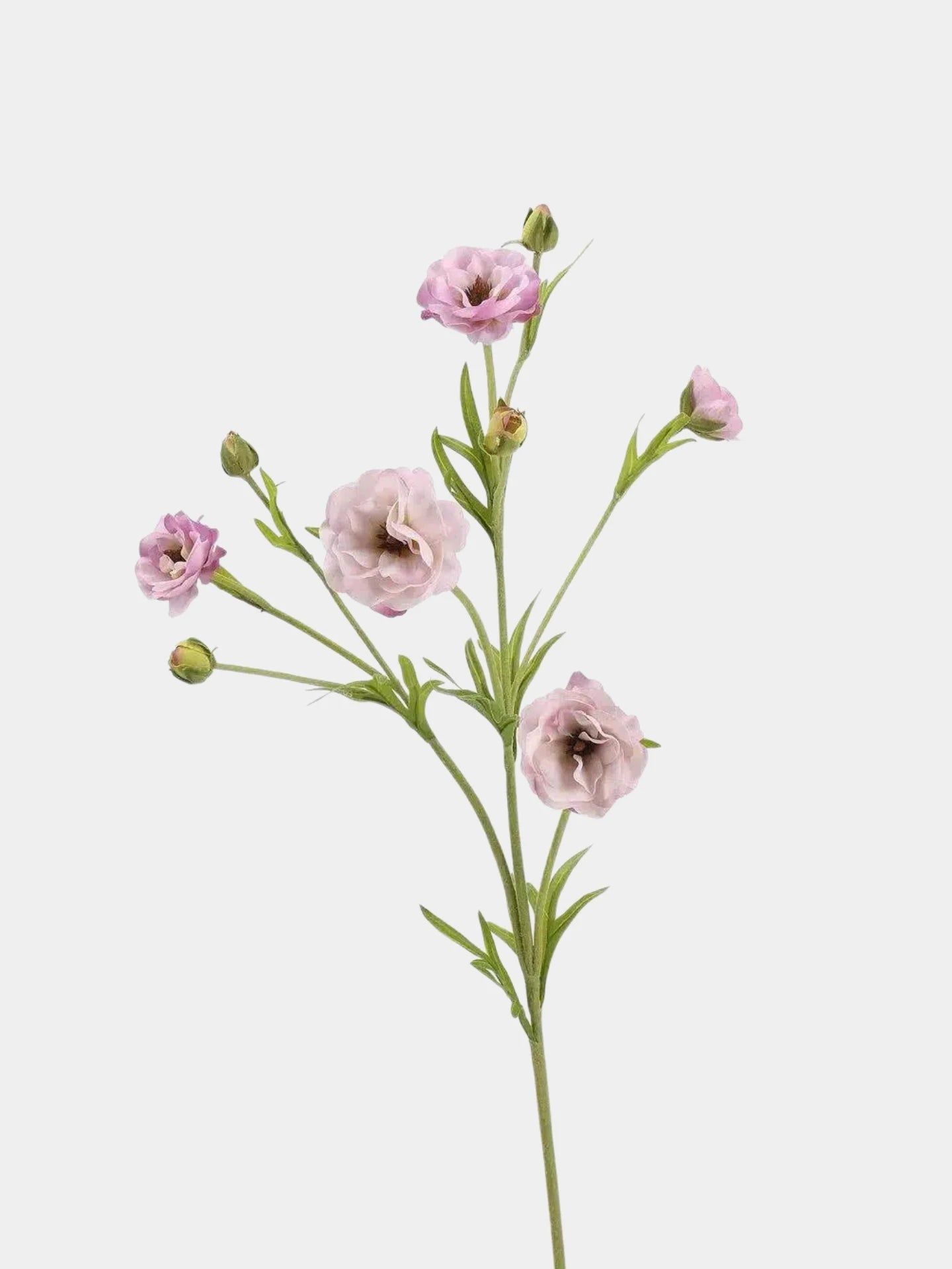 Real Touch Ranunculus Flower Stem – 70 cm
