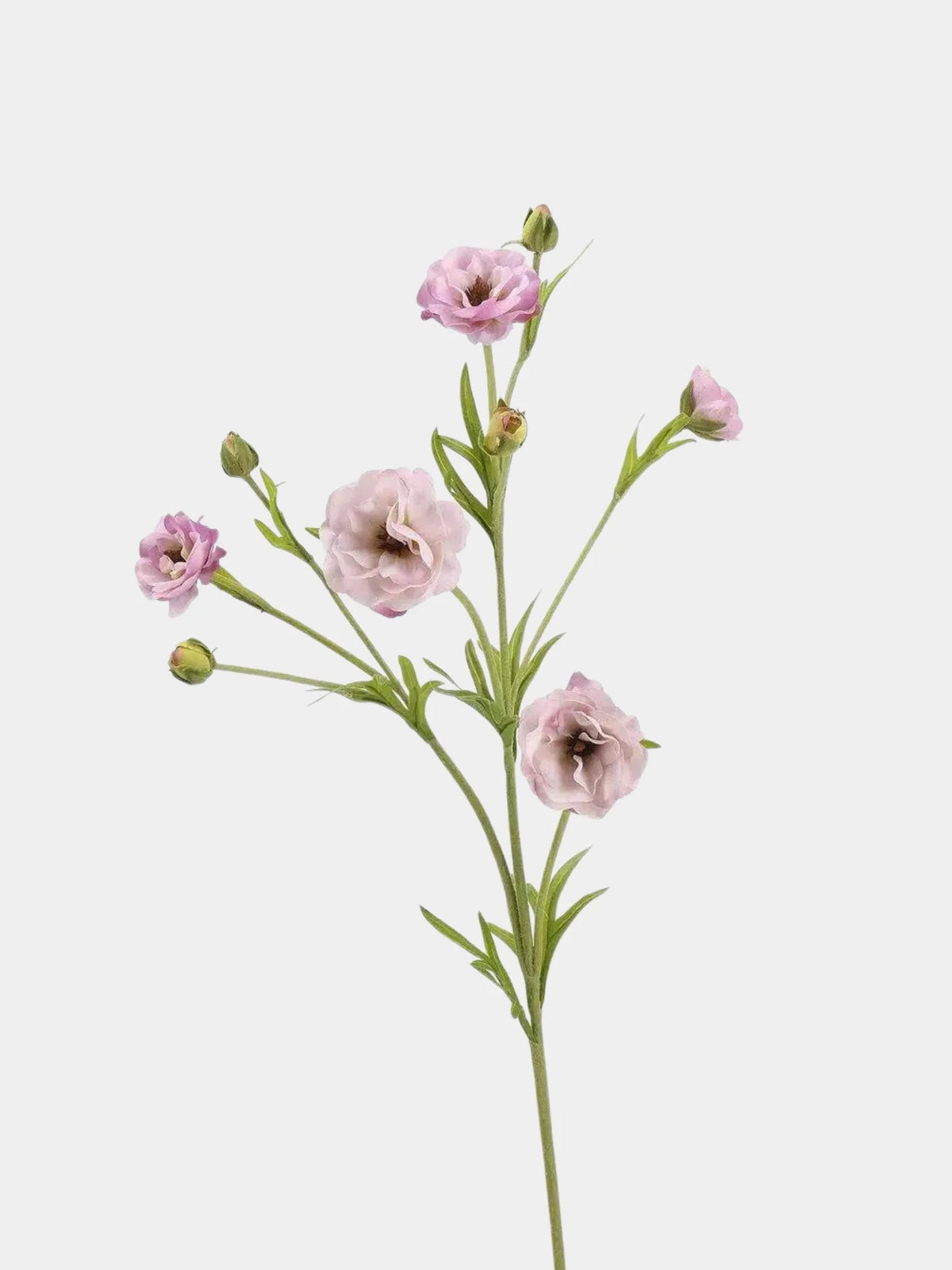 Real Touch Ranunculus Flower Stem – 70 cm