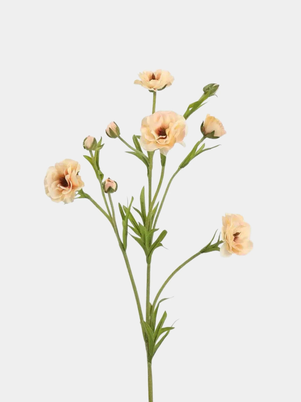 Real Touch Ranunculus Flower Stem – 70 cm