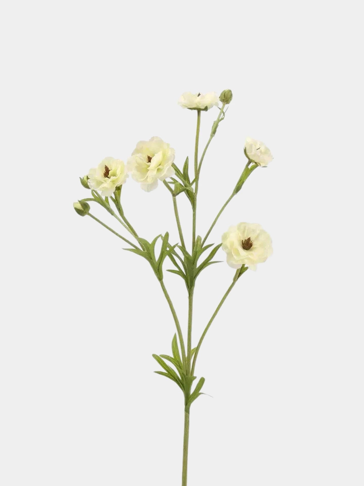 Real Touch Ranunculus Flower Stem – 70 cm