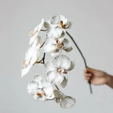 Premium Real Touch Phalaenopsis Orchid in Nude– 36"