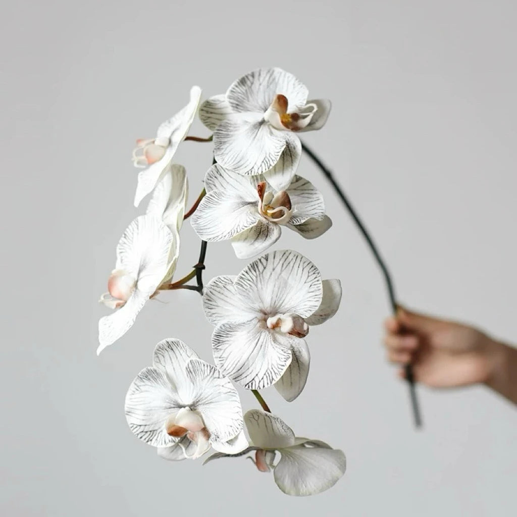 Premium Real Touch Phalaenopsis Orchid in Nude– 36"