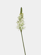 Faux Velvet Ornithogalum Flower Stem – 69 cm
