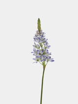 Faux Velvet Ornithogalum Flower Stem – 69 cm