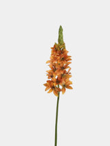 Faux Velvet Ornithogalum Flower Stem – 69 cm