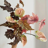 Autumn Palm - Faux Floral Arrangement