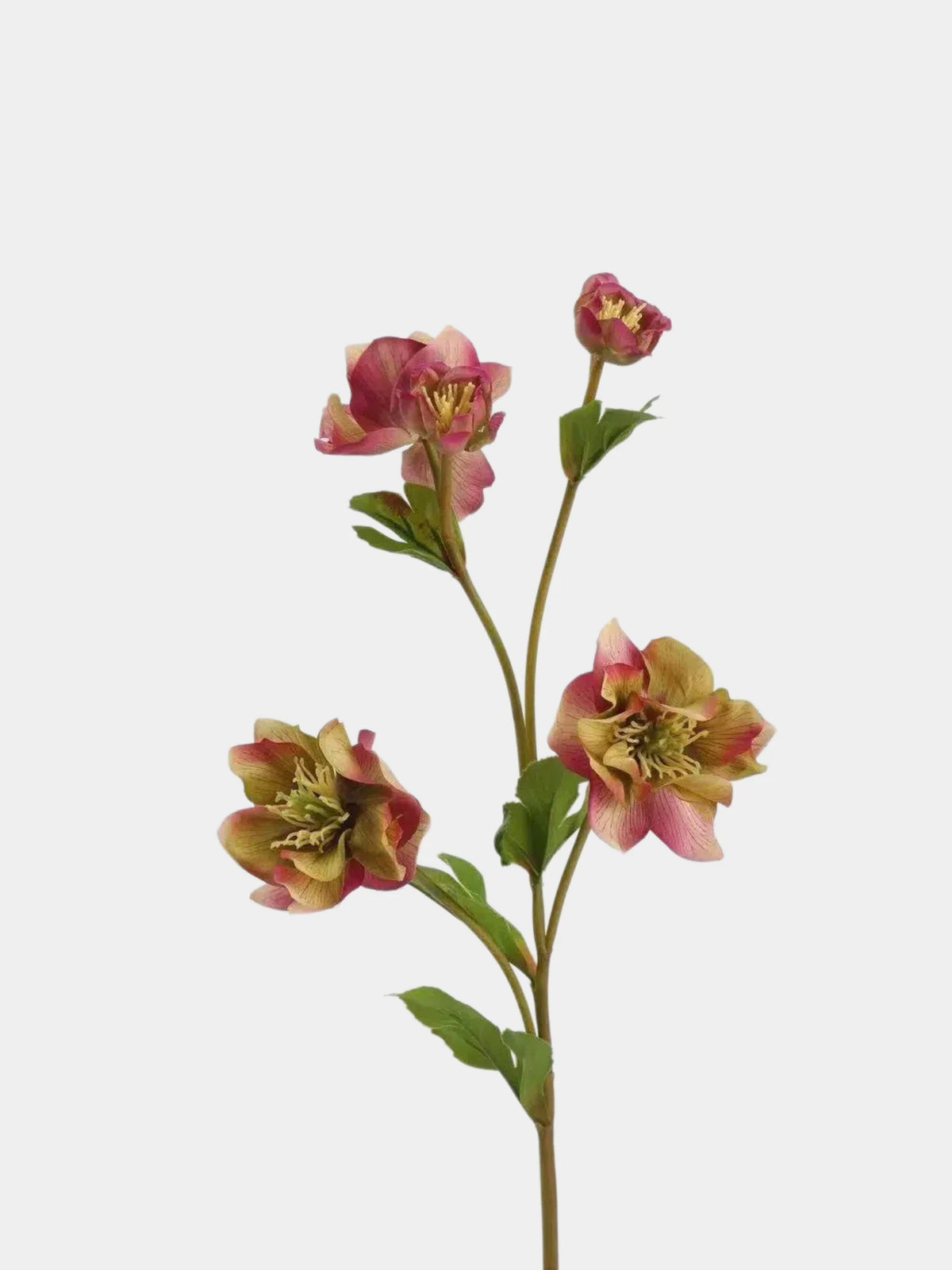 Real Touch Double Hellebore Flower Stem – 64 cm