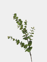 Artificial Eucalyptus – Realistic Faux Eucalyptus Leaves –  95cm