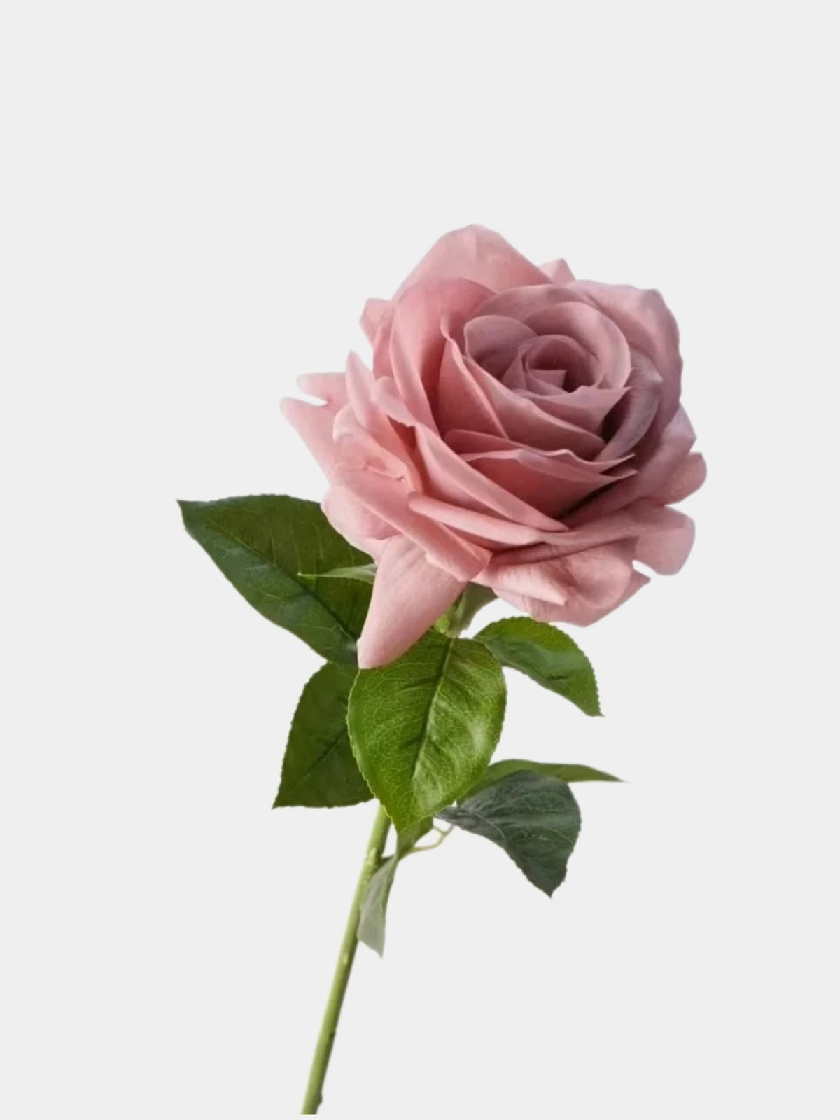 Artificial Ocean Song Rose – Real Touch Faux Rose Stem
