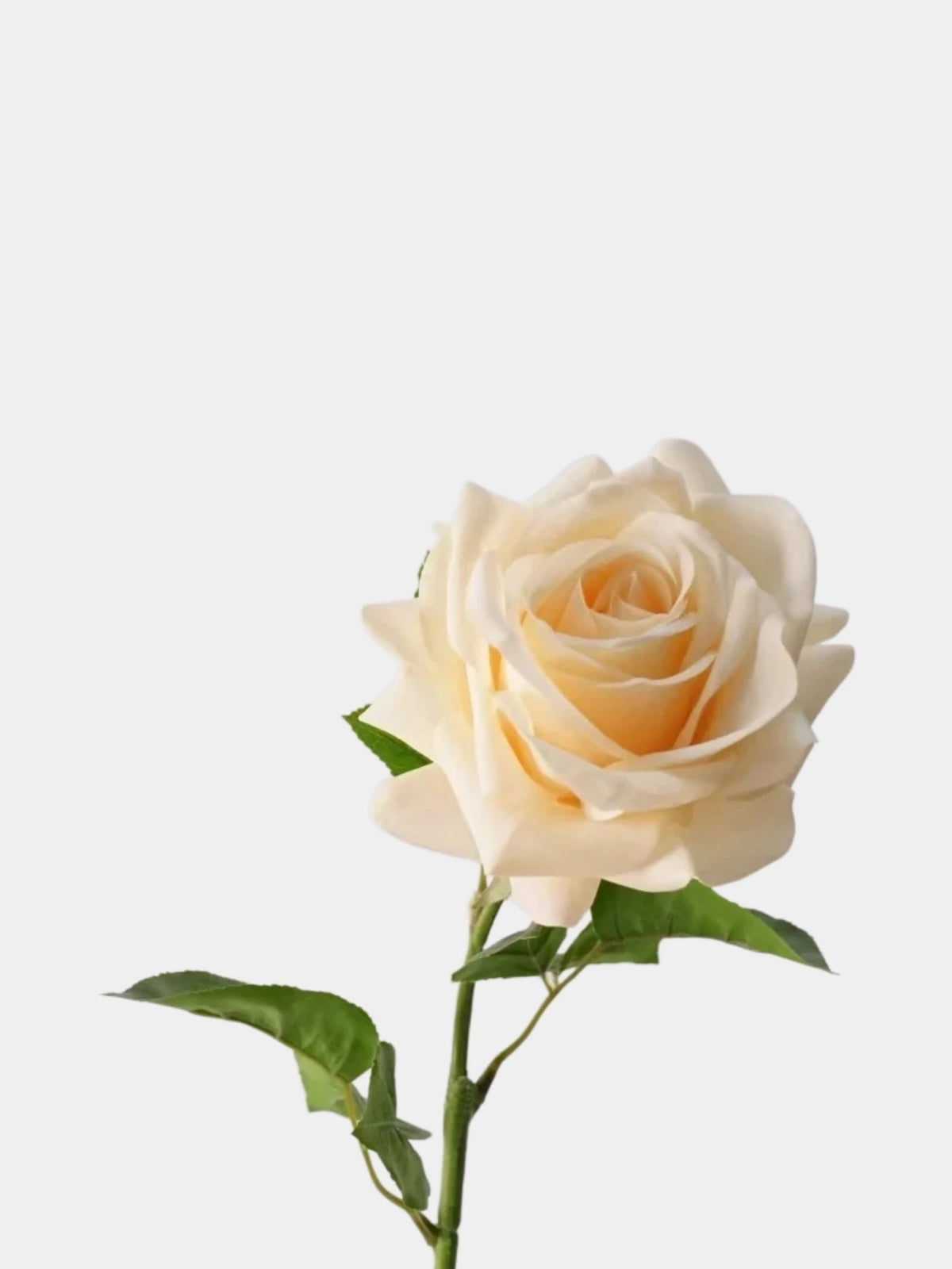 Artificial Ocean Song Rose – Real Touch Faux Rose Stem