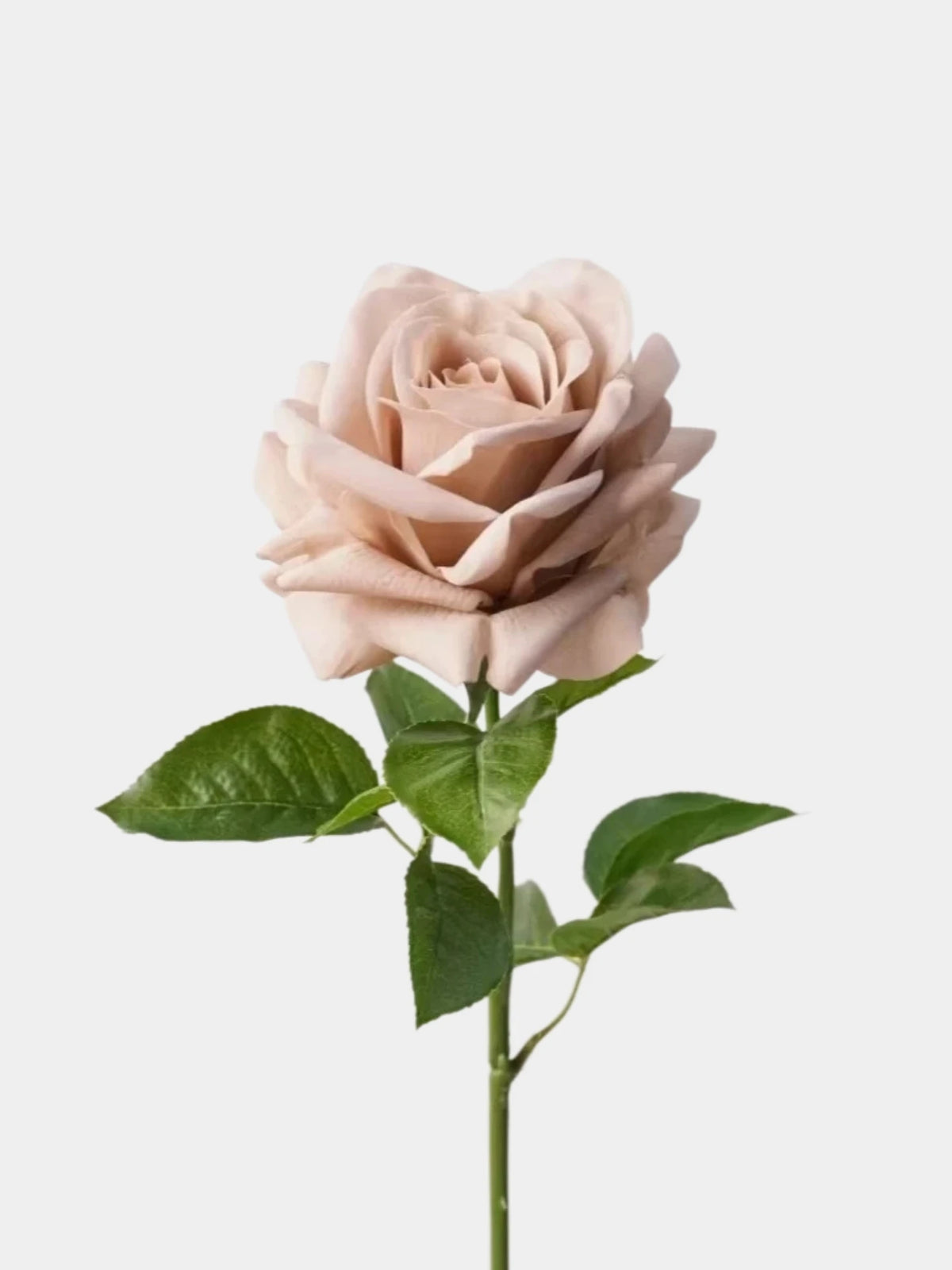 Artificial Ocean Song Rose – Real Touch Faux Rose Stem