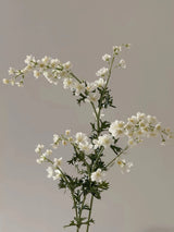 Real Touch Faux Delphinium  – 35"
