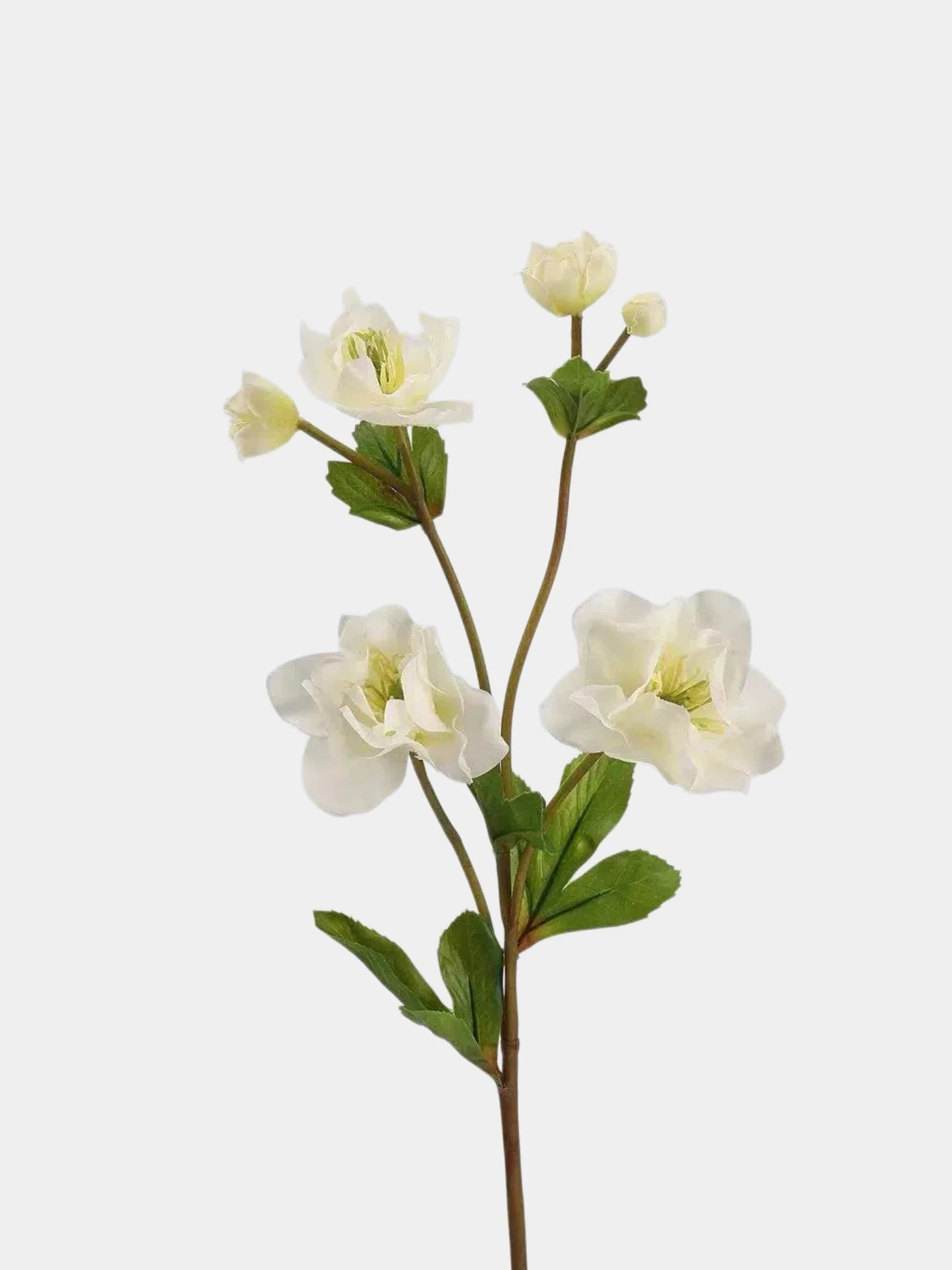 Real Touch Double Hellebore Flower Stem – 64 cm