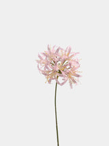 Faux Agapanthus Stem – 31"