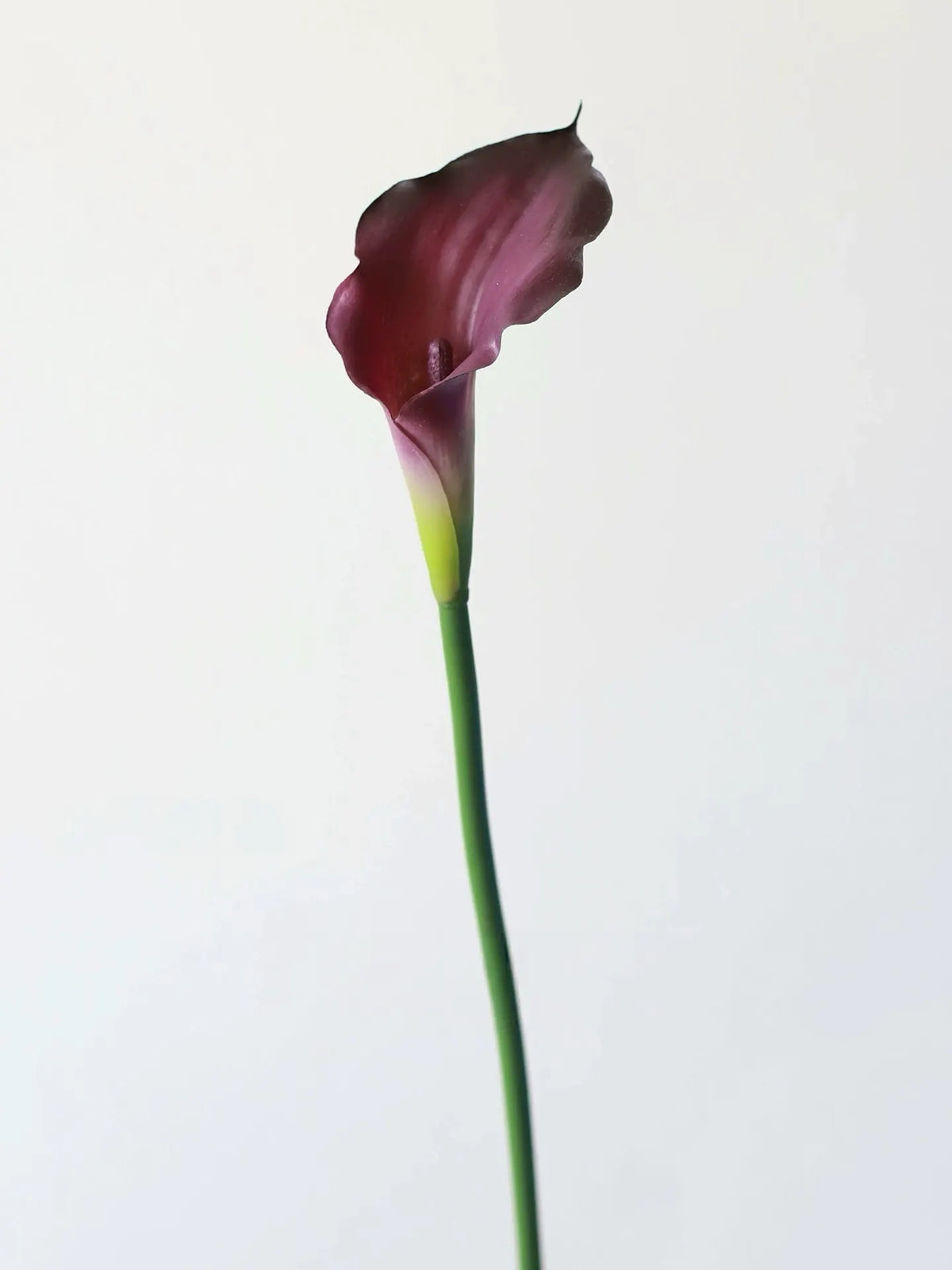 Real Touch Calla Lily –26"