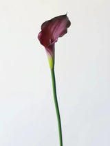 Real Touch Calla Lily –26"