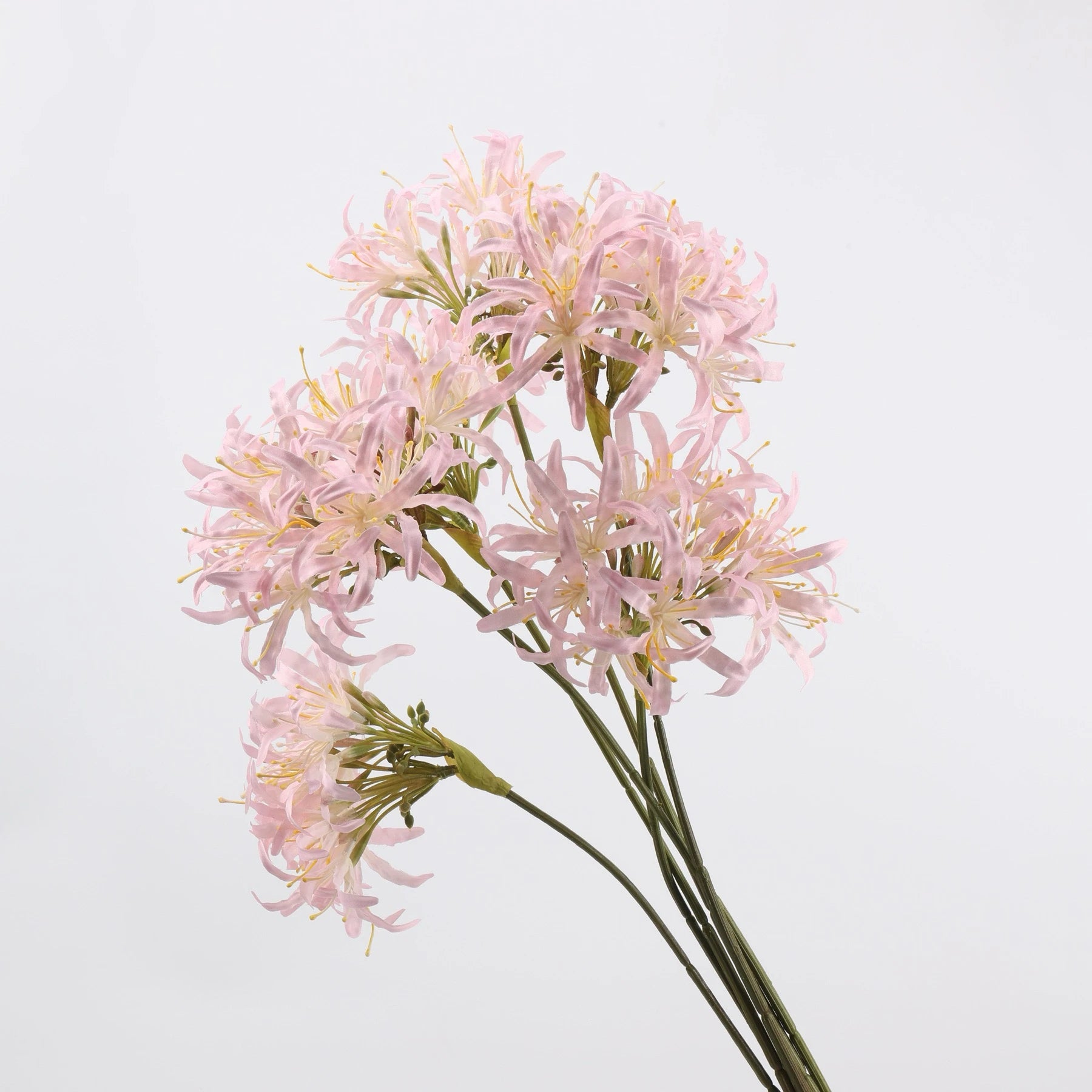 Faux Agapanthus Stem – 31"