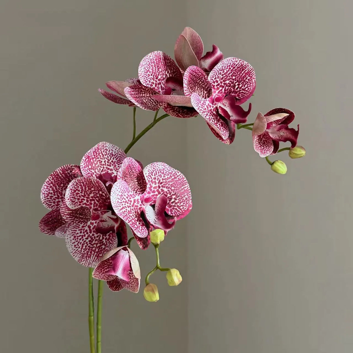 Bunte Schmetterlingsorchidee in handgeschnitzter Vase – Künstliche Blumengestecke