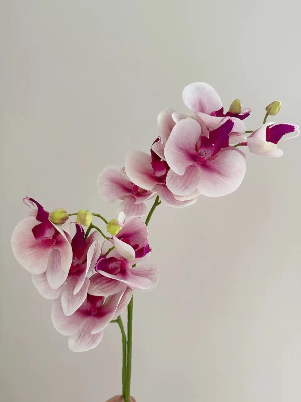 Bunte Schmetterlingsorchidee in handgeschnitzter Vase – Künstliche Blumengestecke