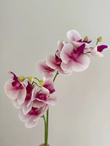Bunte Schmetterlingsorchidee in handgeschnitzter Vase – Künstliche Blumengestecke