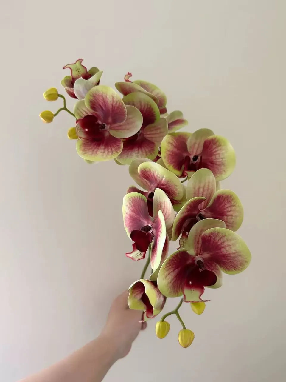 Bunte Schmetterlingsorchidee in handgeschnitzter Vase – Künstliche Blumengestecke
