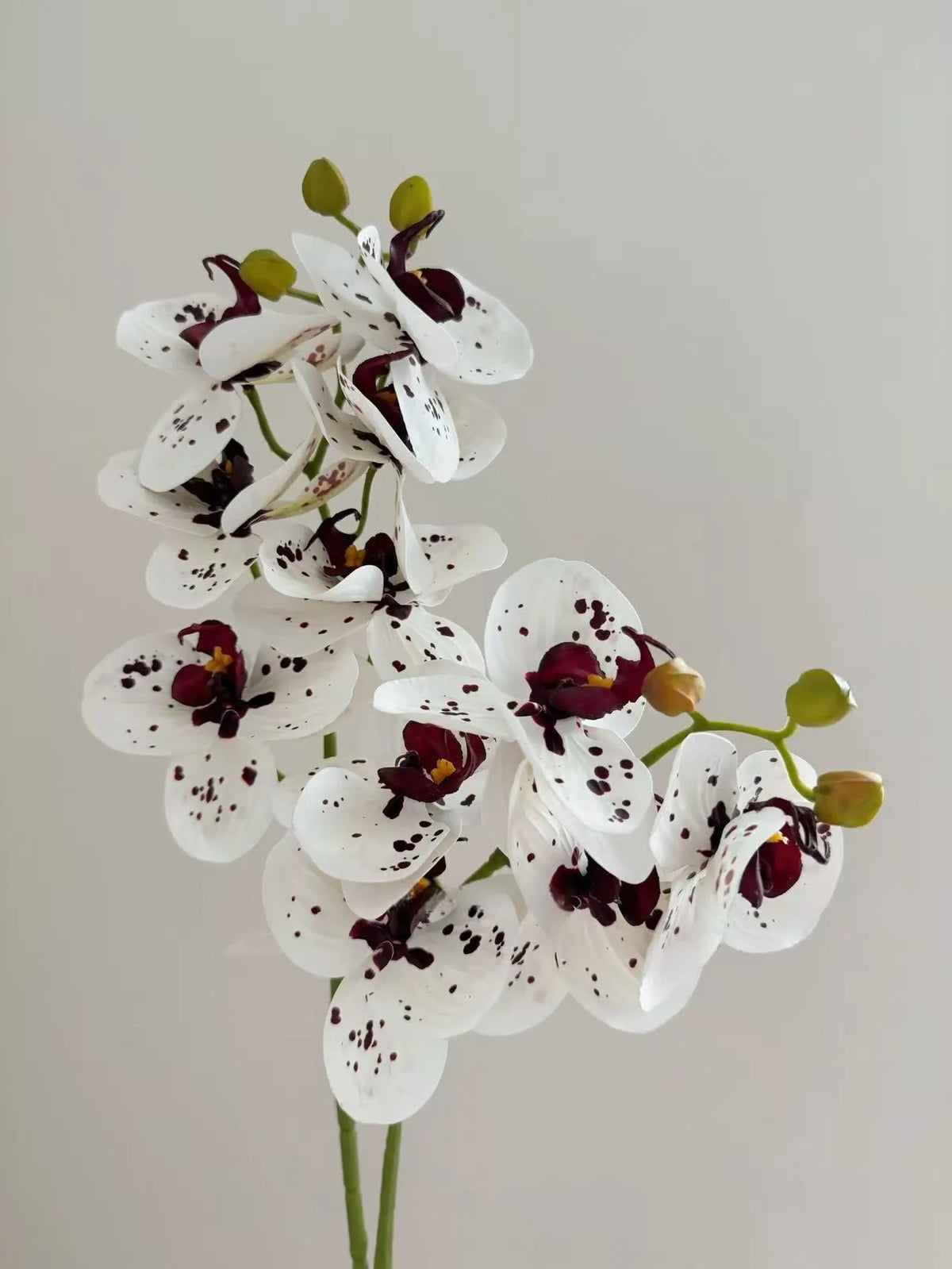 Bunte Schmetterlingsorchidee in handgeschnitzter Vase – Künstliche Blumengestecke