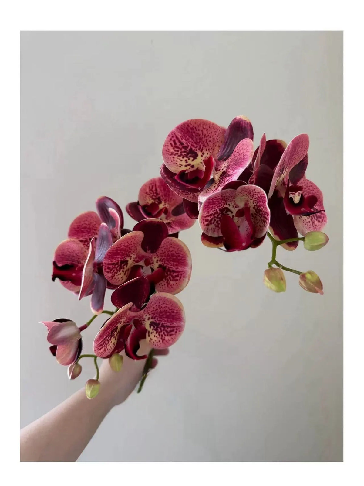 Bunte Schmetterlingsorchidee in handgeschnitzter Vase – Künstliche Blumengestecke
