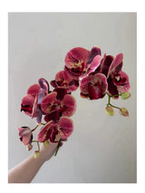 Bunte Schmetterlingsorchidee in handgeschnitzter Vase – Künstliche Blumengestecke