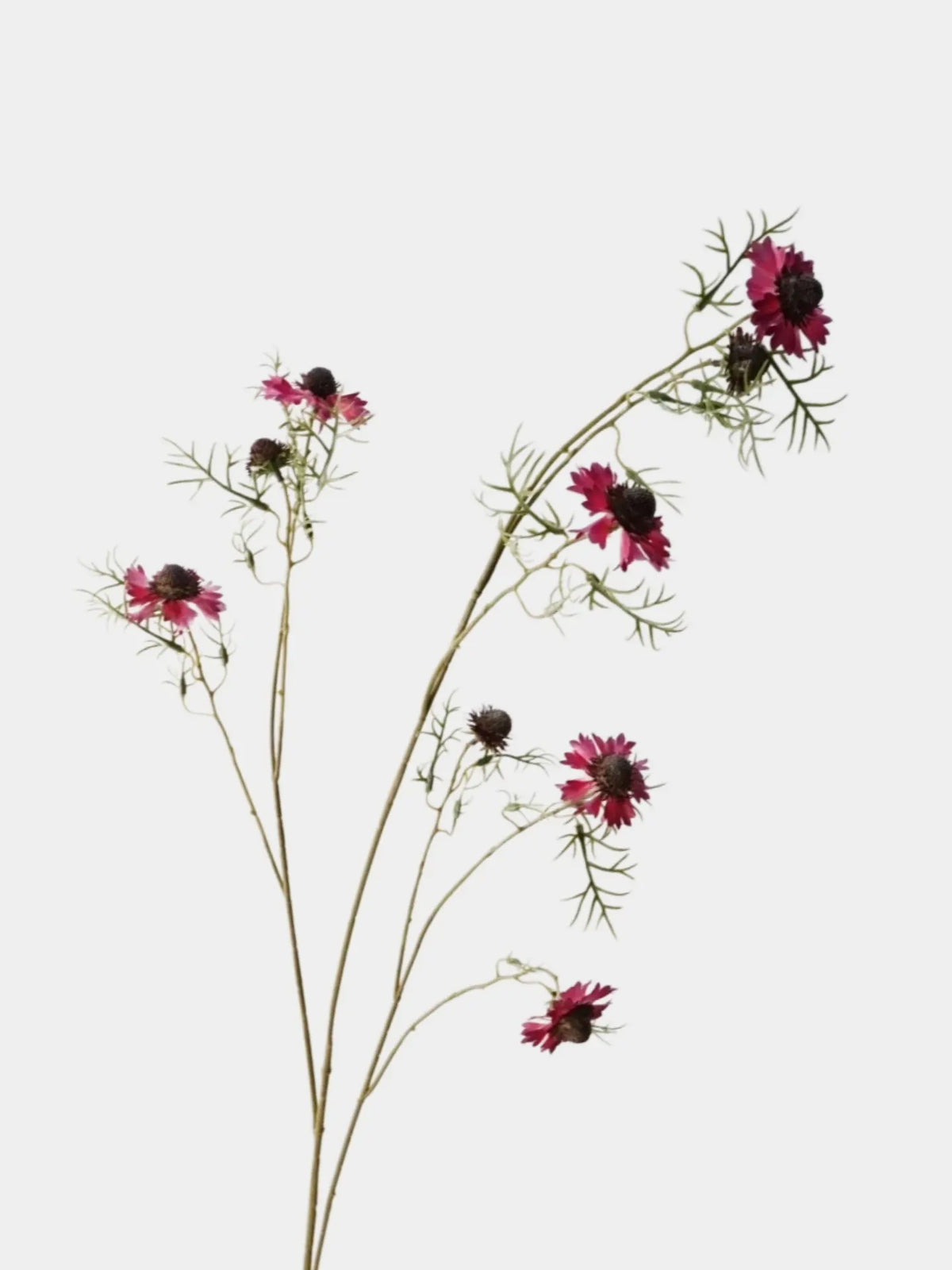 Long Artificial Scabiosa Stem – 118 cm / 46.5 in