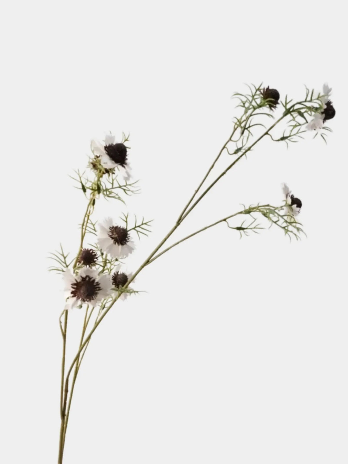 Long Artificial Scabiosa Stem – 118 cm / 46.5 in