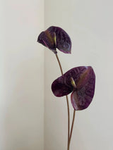 人工アンスリウムステム