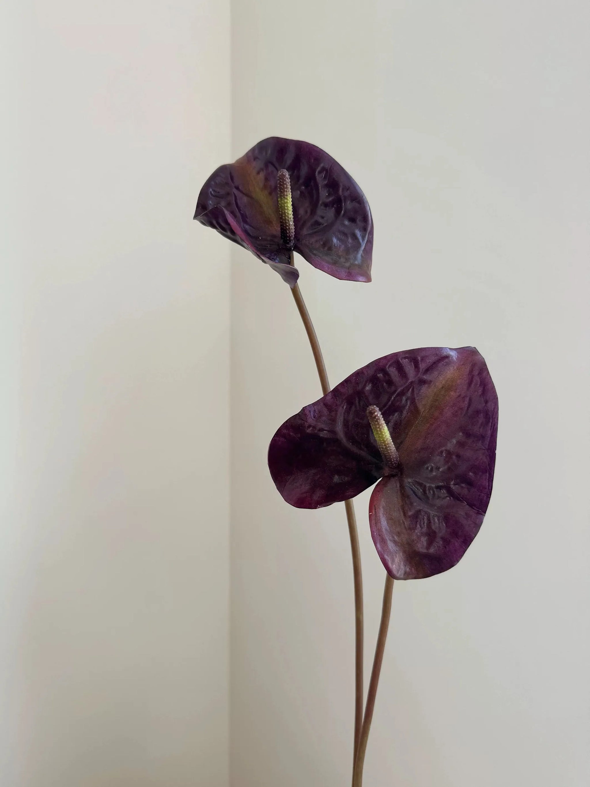 人工アンスリウムステム