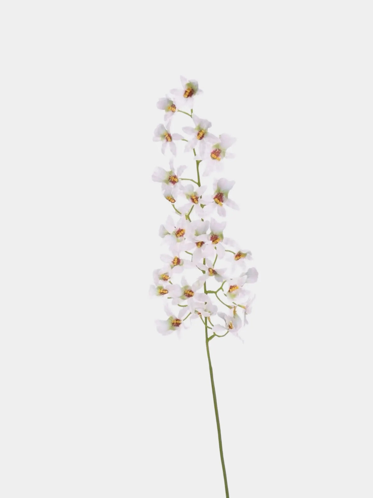 Artificial Oncidium Orchid Stem – 69 cm