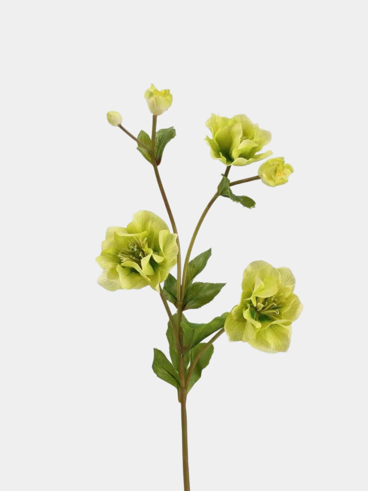 Real Touch Double Hellebore Flower Stem – 64 cm
