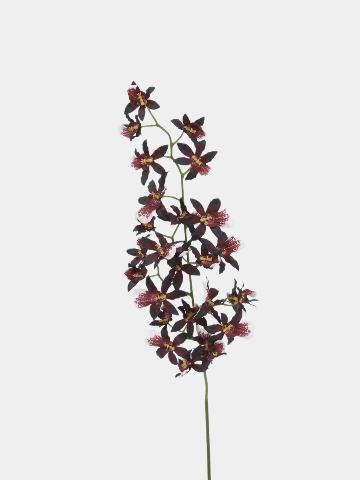 Artificial Oncidium Orchid Stem – 69 cm