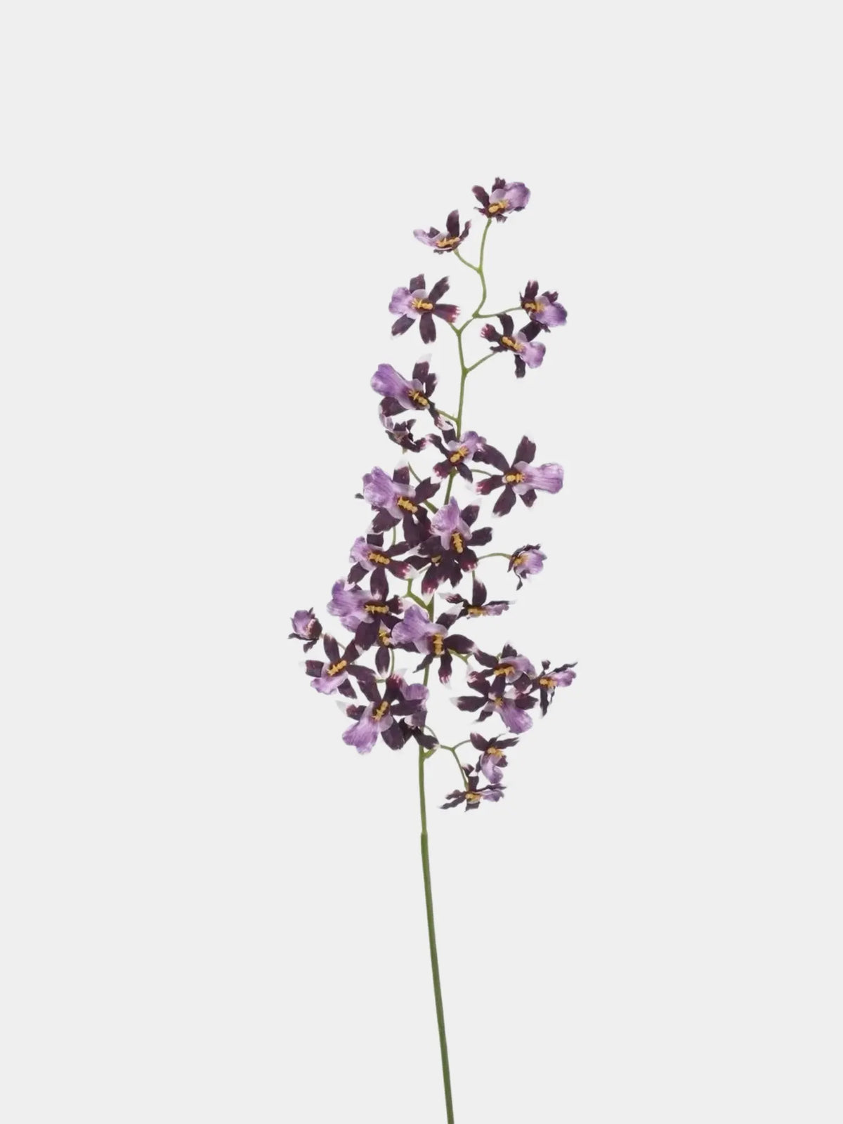 Artificial Oncidium Orchid Stem – 69 cm