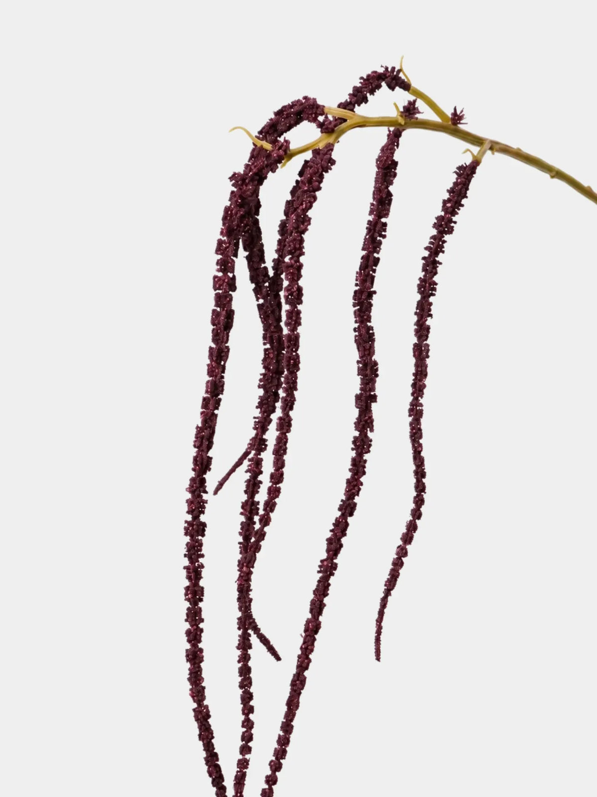 Artificial Hanging Amaranthus Stem – 59 cm