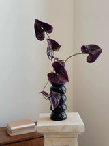 人工アンスリウムステム