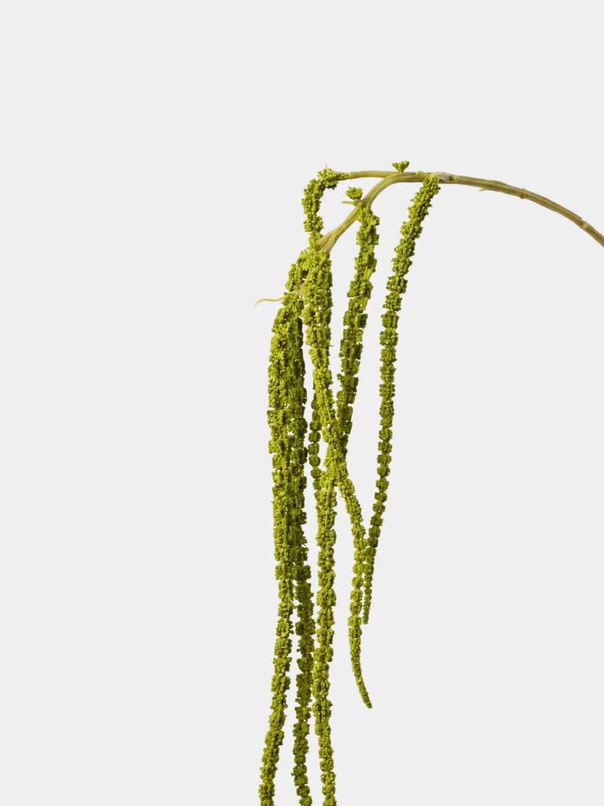 Artificial Hanging Amaranthus Stem – 59 cm