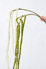 Artificial Hanging Amaranthus Stem – 59 cm