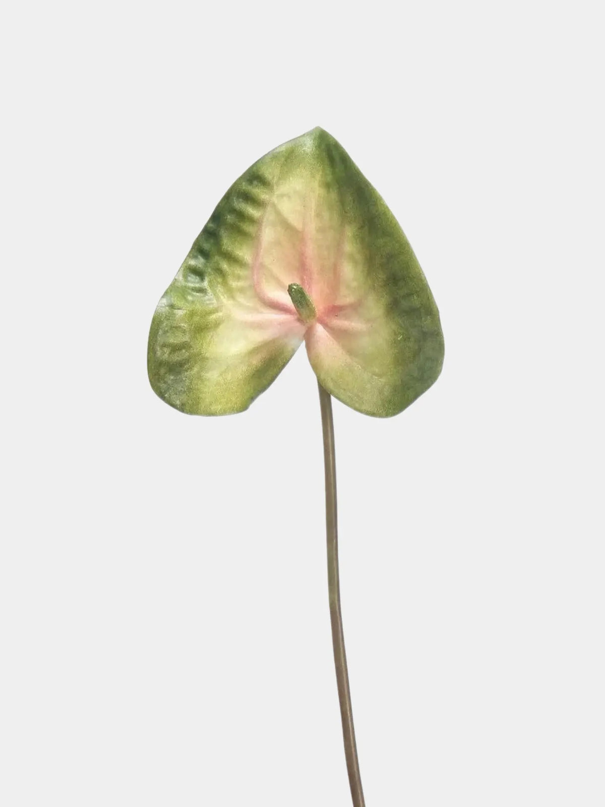 Artificial Anthurium Stem