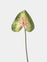 Artificial Anthurium Stem