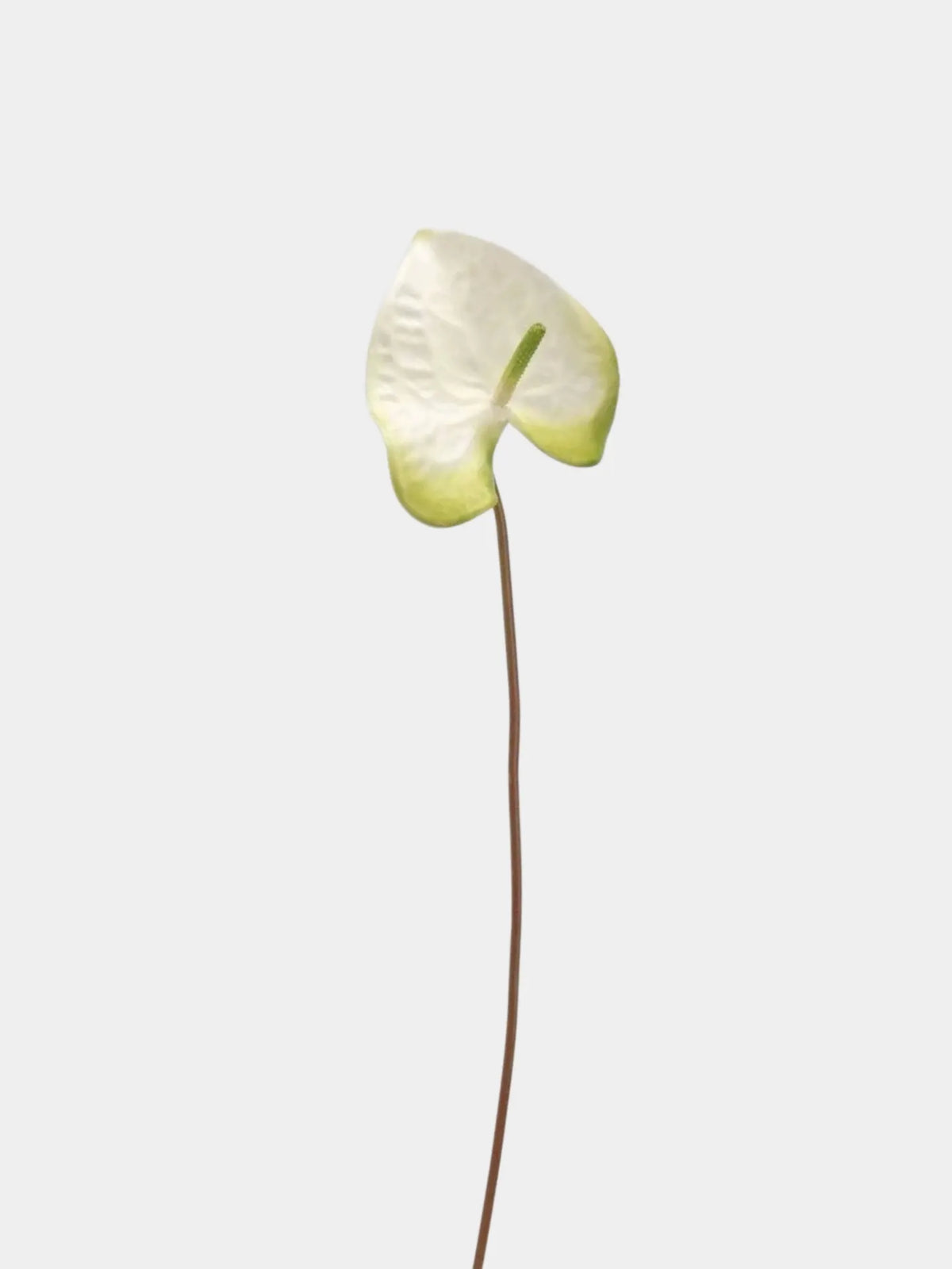Artificial Anthurium Stem